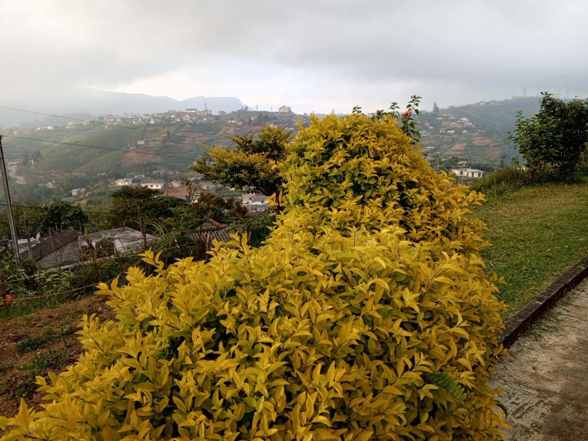 Mount View Cottage Nuwara Eliya Buitenkant foto