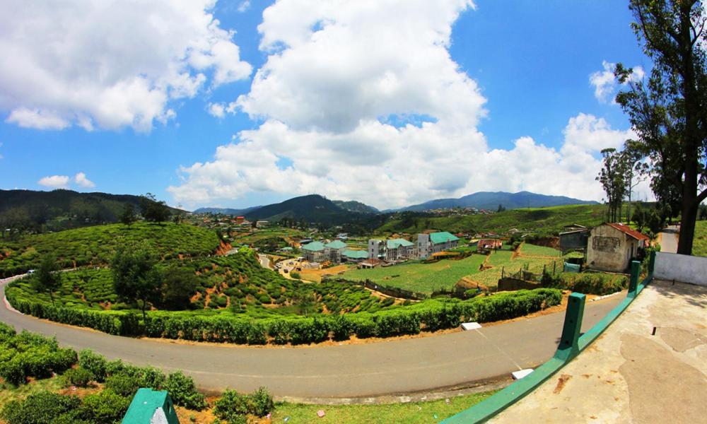 Mount View Cottage Nuwara Eliya Buitenkant foto